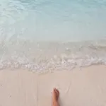 Privilege Exclusive * Селце
