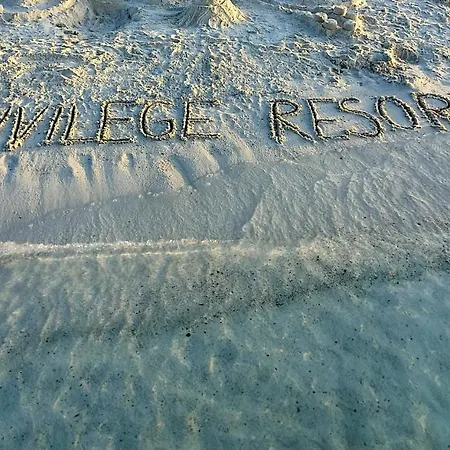 Privilege Exclusive * Selce