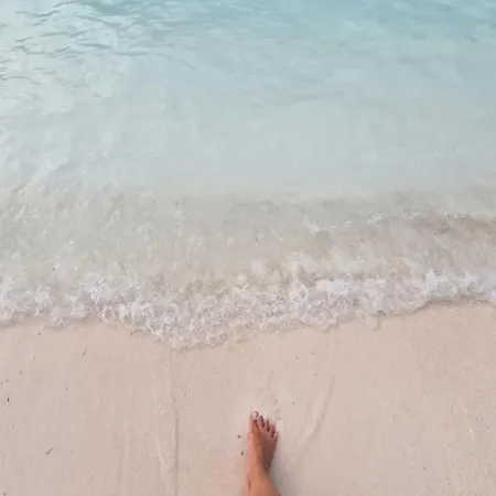 Privilege Exclusive * Selce