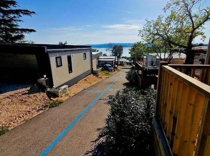 Privilege Exclusive * Selce