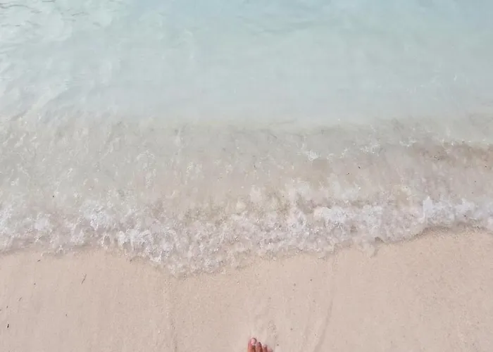 Privilege Exclusive * Selce